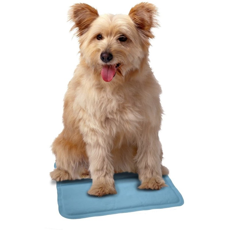 Snugglesafe Kühlpad für Hunde