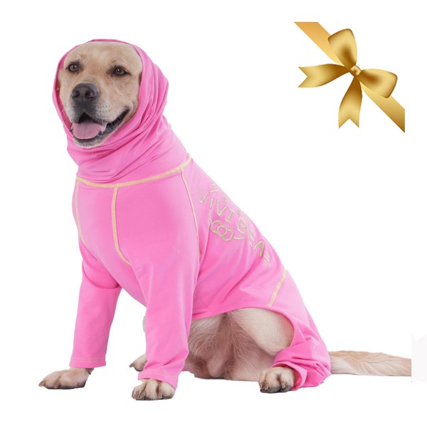 After Surgery, the Dog Onesie Reanimates His Trouser Stable to