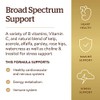 Solgar Vitamin B-Complex + C - 250 Tablets