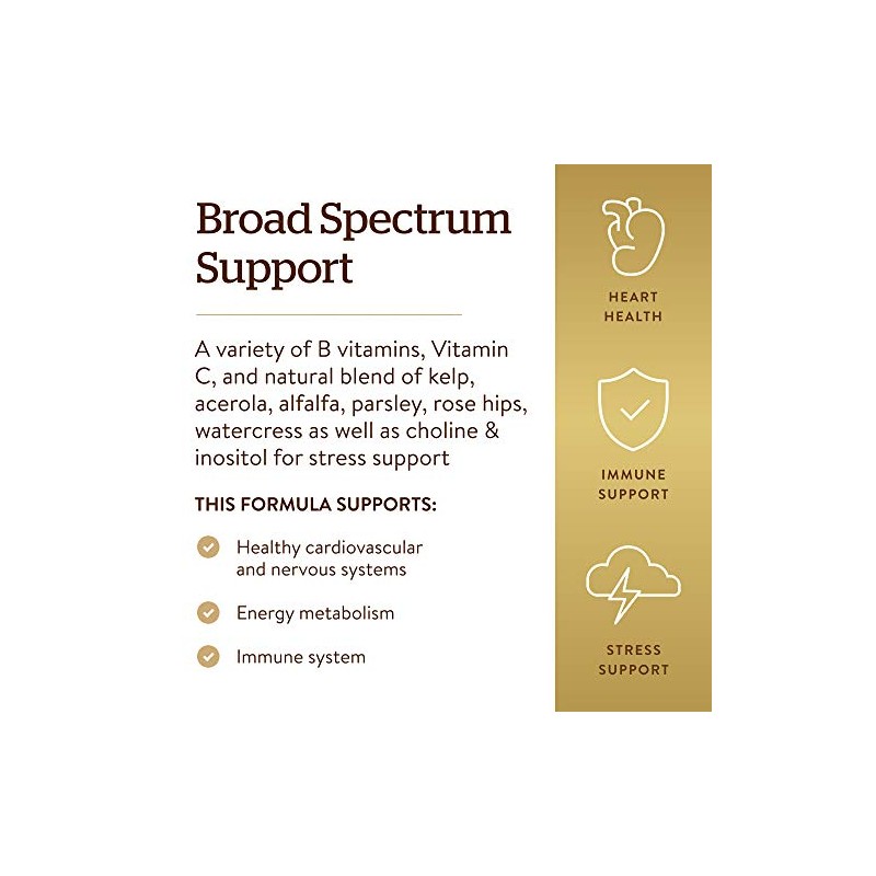Solgar Vitamin B-Complex + C - 250 Tablets