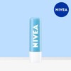 Nivea Lip Care Moisture 4.8g 1 piece / 니베아 립케어 모이스춰 4.8g 1개
