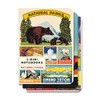 Cavallini & Co. National Parks Mini Notebooks