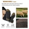 WANDER Merino Wool Socks Men 3 Pairs Cushioned Calf Boot