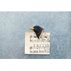 Wildlife Garden - Magnet Blackbird (WG4921) - Hand Carved
