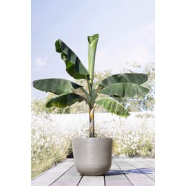 Ecopots Oslo Indoor/Outdoor Modern Recycled Plastic Flower Pot Planter, Taupe, 17.5"