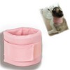 Dog Neck Brace Elizabethan Collar for Pet After Surgery Recovery