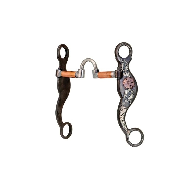 Cowboy Tack Desert Rose Correction Shank Bit