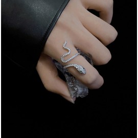 ALRNBY Snake Gold Rings for Women Costume Punk Statement Rings Jewelry for Women Open Ciecle Rings (Silver)