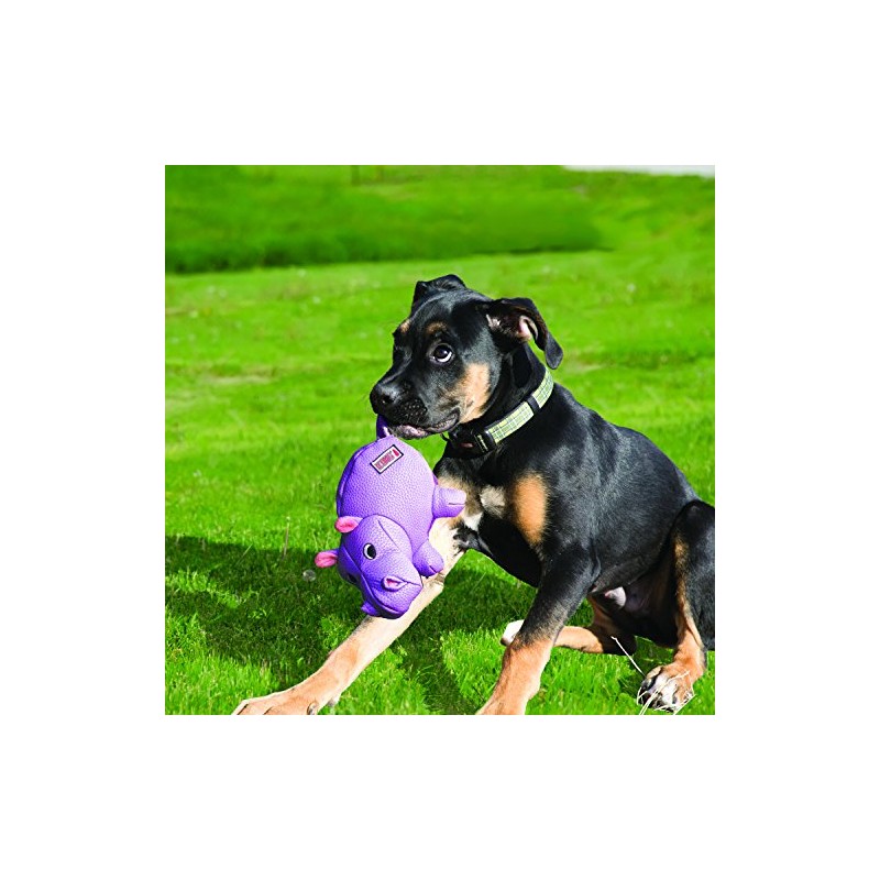 Kong Phatz Pig Dog Toy, Small
