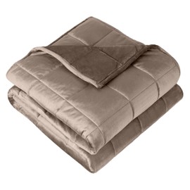 Bare Home Weighted Blanket Twin or Full Size 10lb (40" x 60") - Minky Fleece - Premium Heavy Blanket Nontoxic Glass Beads (Taupe, 40"x60")