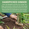 HANDPICK, Ginger Tea Bags (100 Count) Non-GMO,Pure Ingredients - Soothing