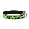 FRIENDLY (Known as Friendly) Green Colour Coded Neoprene Padded Dog