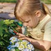 Hape Nature Fun Portable Microscope for Discovering Made of Bamboo