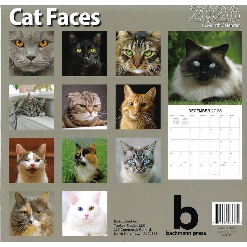2026 Cat Faces Full Size Wall Calendar for Planning, Scheduling,