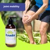 Knadix Hemp Oil Cream Ideal for Sensitive Skin Pack of