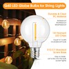 Mlambert G40 LED Replacement Light Bulbs for String Lights, Dimmable