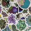 Undisclosed 100pc 1.5" Succulent Plant Cactus Stickers for Notebooks Water