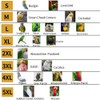 RRRIOT Bird Flight Harness Vest, Parrot Flight Suit with Leash,