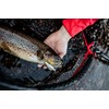 Countdown Elite 55 Gilded Brown Trout
