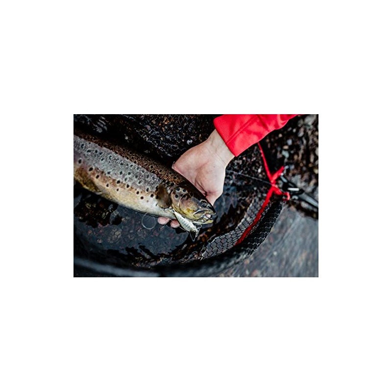Countdown Elite 55 Gilded Brown Trout