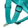 Pet Passion REMY - The Recycled Ribbon Harness, Turquoise, Large