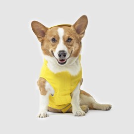 Canada Pooch Dog Rain Jacket Pet Raincoat Waterproof Material - Torrential Tracker (Yellow, 16)