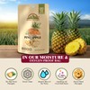 Himalayan Chef Freeze-Dried Fruit – 15g/Each Freeze-Dried Pineapple | Organic