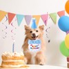 Small Dog Cat Birthday Hat Scarf Set,Cute Cat Birthday Hat,Happy