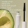 Ere Perez Mascara de Aguacate Contra Agua, Black, 10 ml