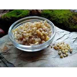 Livingmind Incense - 50g Olibanum Eritrea Resin Small (Boswellia Papyrifera) 100% Pure Natural Finest Quality Incense Rough Nights Christmas Spicy Fresh
