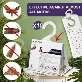 SIUHEN Pack of 10 Food Moths Clothes Moth Trap