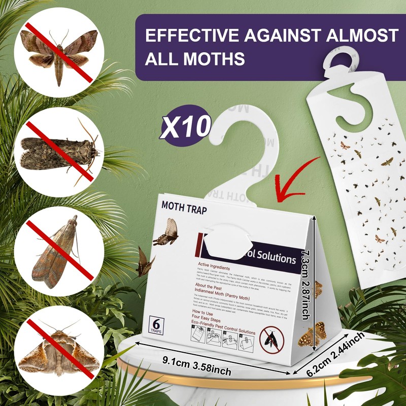 SIUHEN Pack of 10 Food Moths Clothes Moth Trap