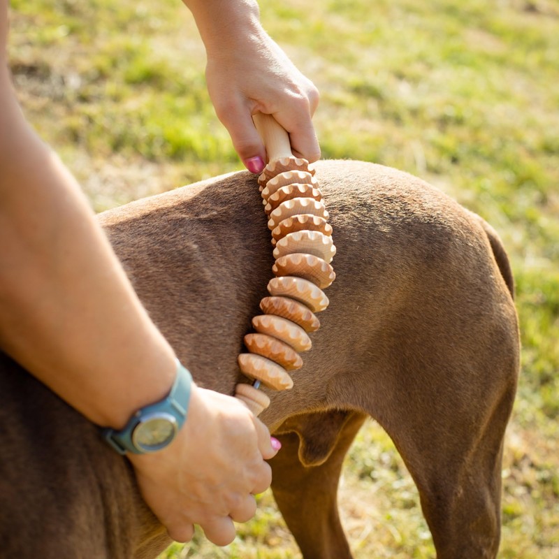 tuuli Wooden Massager Dog Cow Horse Massage Brush Pet Massage