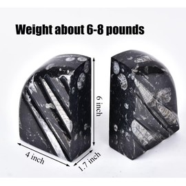 VIZYTOU Orthoceras Fossil Bookend Heavy Duty Stone Book End Decorative Book Holder 6-8 Pounds