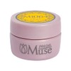 PREGEL Muse PGU-M1064 Color Gel, Parade Yellow, 0.1 oz (3