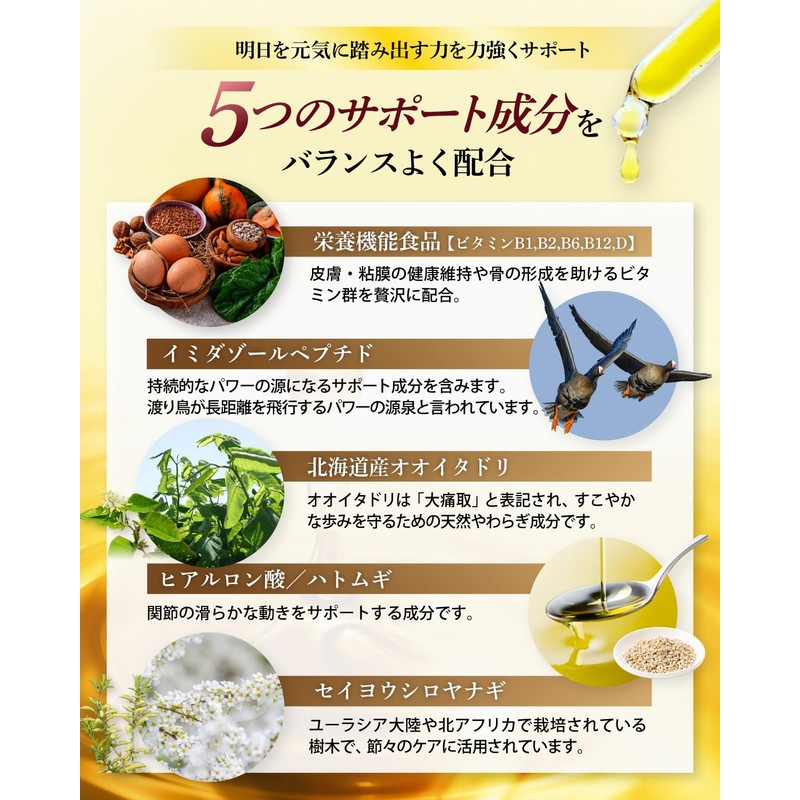 【ひざ・関節 3大成分贅沢配合】グルコサミンのチカラ プロテオグリカン グルコサミン 非変性Ⅱ型 コラーゲン 膝 関節 サプリ30日分 60粒