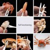 3Pcs Seafood Tools Set - Lobster Crab Leg Crackers Nut