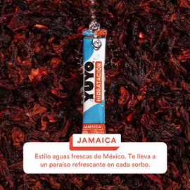 YUYO Vitaminas | 40 Sobres de Electrolitos con Vitaminas en Polvo (4 Cajas de 10 Sobres) | Sabor Jamaica | Electrolitos, Vitamina C e Iones