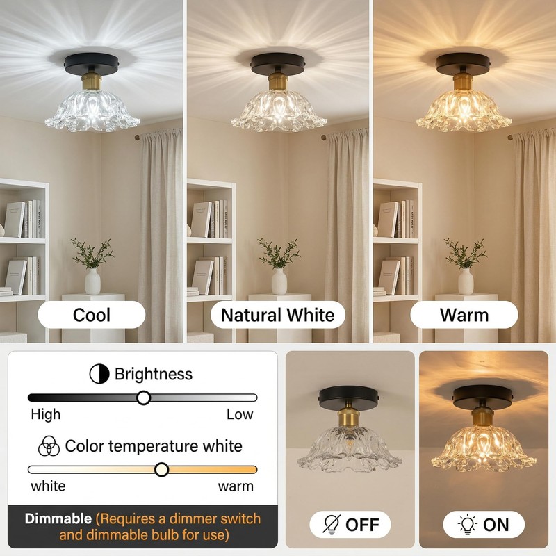 Helitemis 1-Light Vintage Semi Flush Mount Ceiling Light, Black and