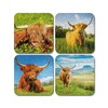 4 x Square Highland Cow Coasters - Animals Paint Effect