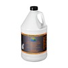 Lo-Chlor Ez-Pour Chlorine Stabilizer For Pool - Liquid Cyanuric Acid
