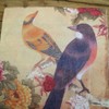Decorative Disposable Napkins Floral Pattern Birds Printing Decoupage Paper For