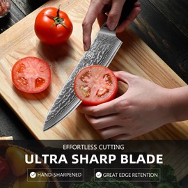 KEEMAKE Damascus Kitchen Knife Set 2 PCS, Ultra Sharp 67 Layer Damascus Steel Chef Knife and Paring Knife, Professional Knives Set for Kitchen with G10 Non-slip Handle, Kitchen Gadgets in Gift Box