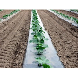 Silver Metallic Plastic Mulch 4 Ft X 100 Ft 1.0 Mil Embossed by Growerssolution