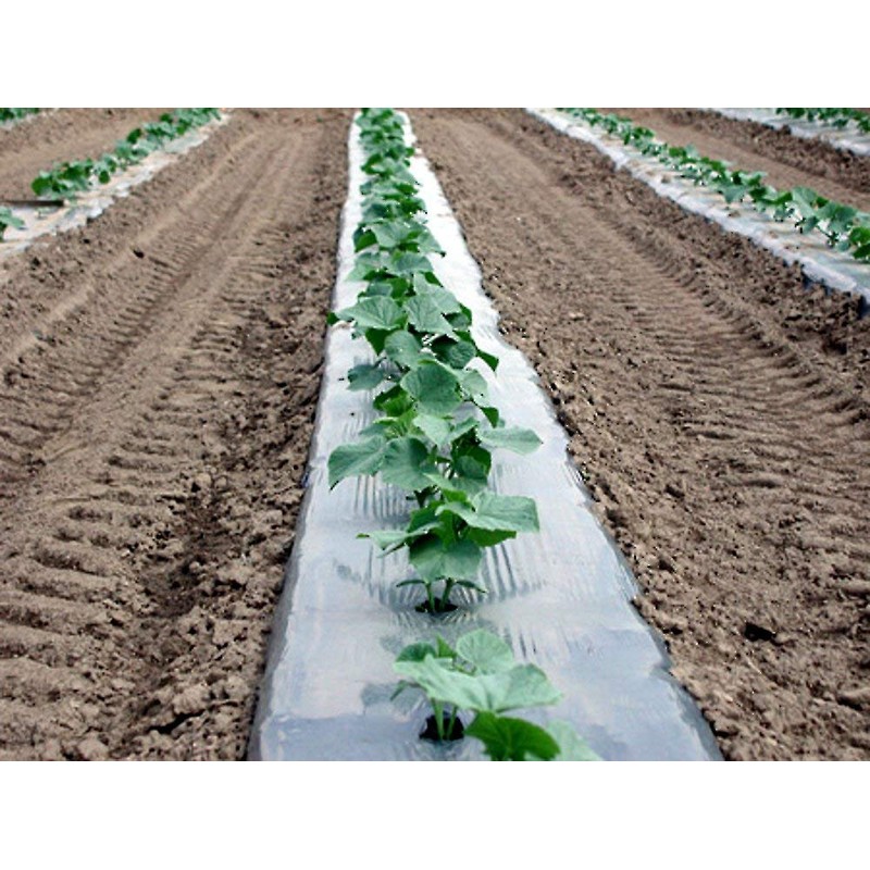 Silver Metallic Plastic Mulch 4 Ft X 100 Ft 1.0