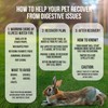 Sherwood Pet Health Rabbit Emergency kit and Bulk Recovery Food