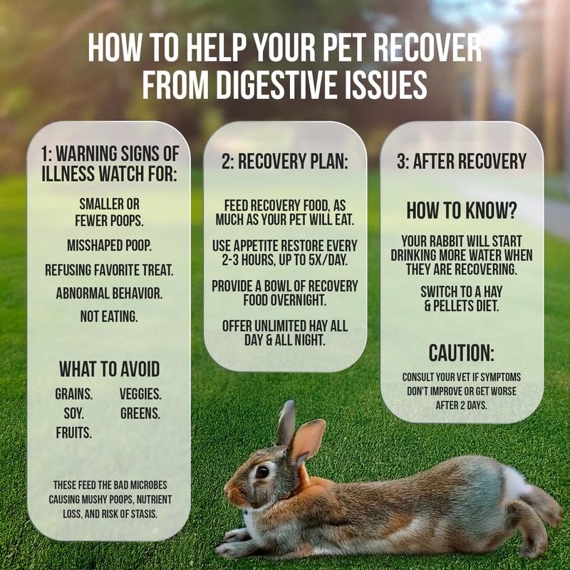 Sherwood Pet Health Rabbit Emergency kit and Bulk Recovery Food