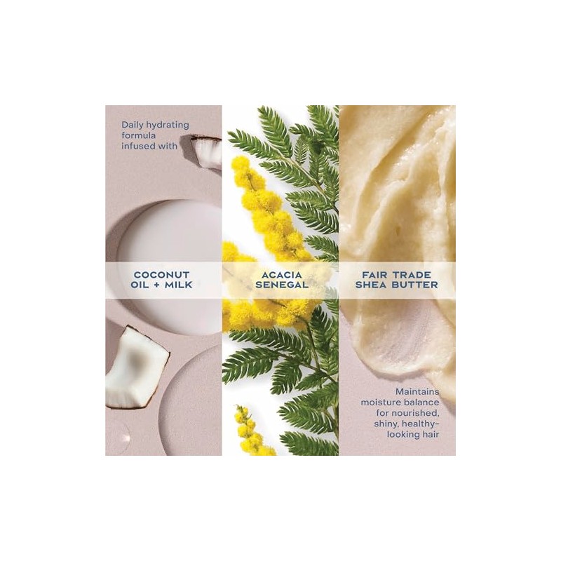 SHEA MOISTURE Daily Hydration Shampoo, Blanco, Coco, 384 Mililitro