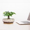 ARTKETTY Succulent Pots - 7.5 Inch Large Plant Pot with