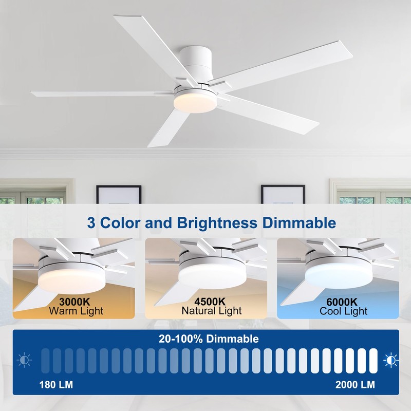 Rayqueen 60 Inch Ceiling Fans with Lights and Remote,Flush Mount